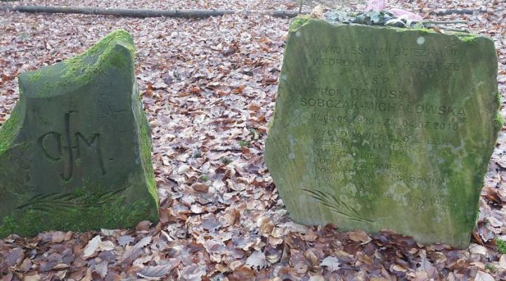 kamienie pamięci prof. Danuty Sobczak-Michałowskiej