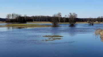 fot. Krzysztof Wałecki